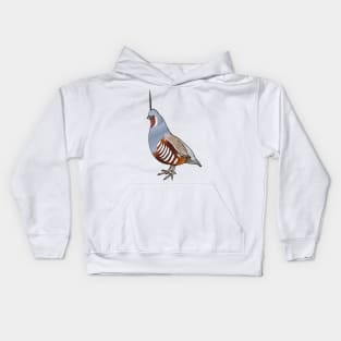 Mountain quail bird cartoon illustration Kids Hoodie